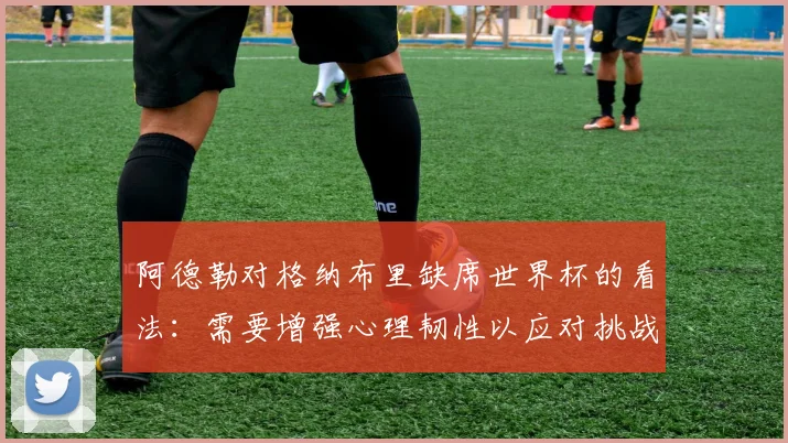 阿德勒对格纳布里缺席世界杯的看法：需要增强心理韧性以应对挑战